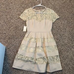 Gold foil lace cream dress